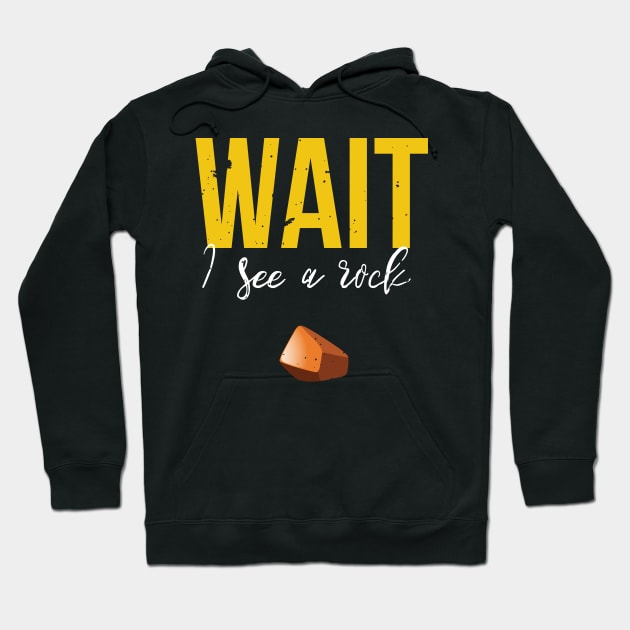 Wait I See A Rock Funny Geology Rockhounding Hoodie by GDLife